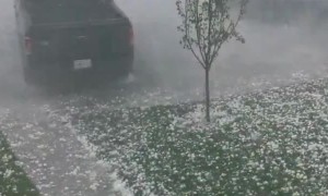 Insane video of tennis ball sized hail in Calgary