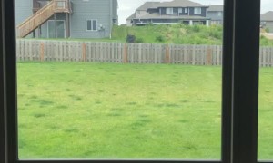 Boxer Bounds Outside of Window for Attention