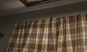 Rescuing a Hummingbird that Flew Into a Home