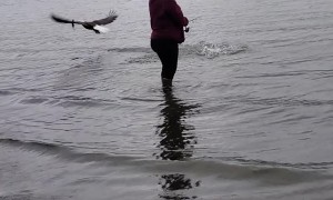 Fish Smarter, Not Harder