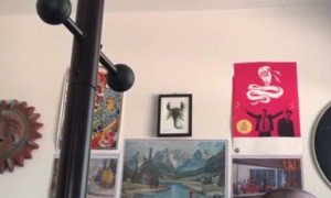 Snake Strikes from Above