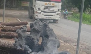 Truck Barely Stops in Time