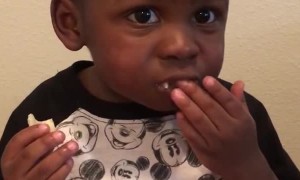 Toddler Food Critic Tries Salt and Vinegar Chips