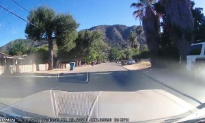 Cyclist Nearly Rear Ended After Running Red Light