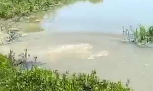 Basshunta spots a bass