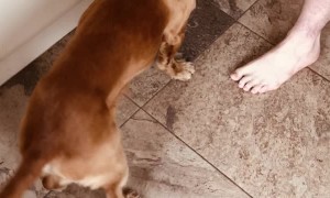 Lady Discovers Hatching Egg and Asks for Boyfriends Help