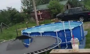 Leap from Rooftop to Trampoline Ends a Bit Short