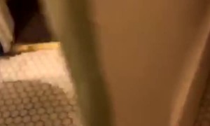 Bathroom Door Perfectly Fits Over Toilet