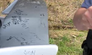 Officer Signs Car Spoiler