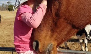 3-Year-Old Singing to Horse