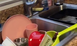 Dirty Cup Surprise Sends TV Flying