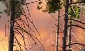 Incredible work yesterday and overnight by 400+ firefighters to keep the #BighornFire