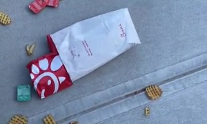 Dude Drops Fast Food in Trying to Save Bee