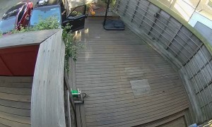 Tesla Loses Control and Crashes into Neighbor Getting into his Car