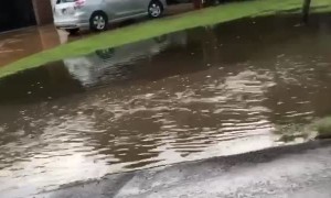 Dude Driving Razor Gives Bothered Man Classic Name