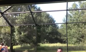 Little Brother Attempts Big Brothers Pool Trick