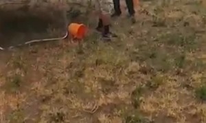 Bro Nails Buddy with Blowgun