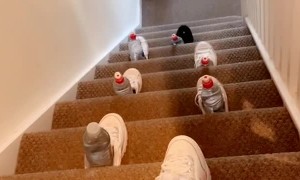 Water Running Down the Stairs