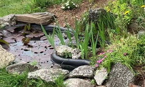 Kid Dons Hazmat Suit so She Can Hug Grandparents