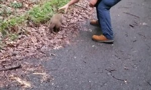 Groundhog Gets a Helping Hand