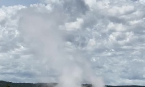 Buffalo Gets a Shower from Old Faithful