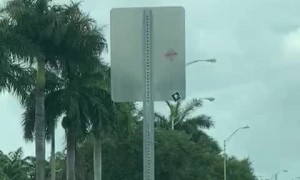 Truck Driver Helps Elderly Woman Cross the Street
