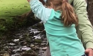 Rope Swing Epic Fail