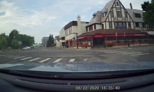 Skunk Family Using Crosswalks in Niagara Falls