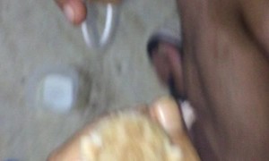 Abandoned Kitten Gets a New Start in Life