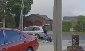 Woman Stumbles While Bringing in the Shopping