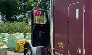 Learning Where the Accelerator Is at a Young Age