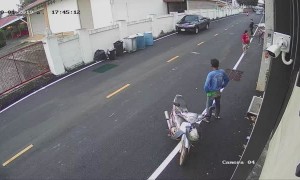 Dogs Cause Riders to Wreck