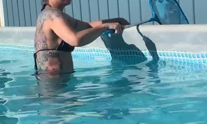 Stain it or Stay in it?