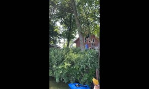 Rope Swing Snaps Halfway Through
