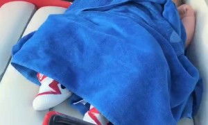 Man Saves an Eagle from Drowning