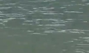 Twister Forms and Dissipates On the Horizon