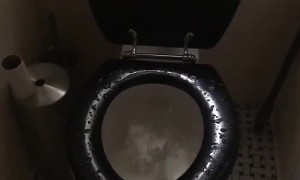 Toilet Really Tries to Be a Hot Tub