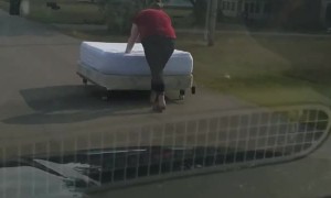 Girl Pushes Newly Bought Bed Down the Road