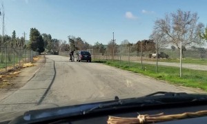 Dog Chases Owner's Car After Being Abandoned