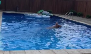 Doggo Conquers Fear of Pool to Save Human