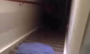 Stair Slide Fail