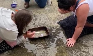 Guy's Great Party Trick Ends with a Splash