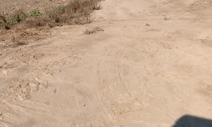 Whoa That Was a Close One