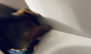 Pup Drops Ball in the Bath