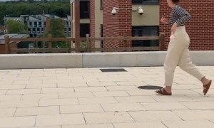 Sneaky Seagull Pilfers Purse