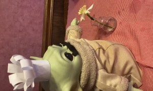 Baby Yoda Makes Pizza