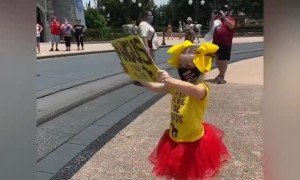 Angus the horse at Disneyworld has a Fan Club
