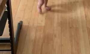 Pancake Proves to Be Perfect Pacifier