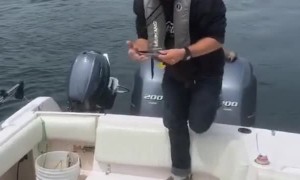 Bald Eagle Swoops in to Snatch Fish