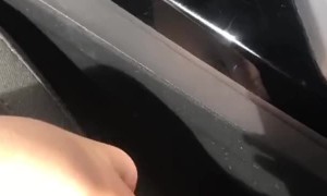 Grandma Plays Along Perfectly